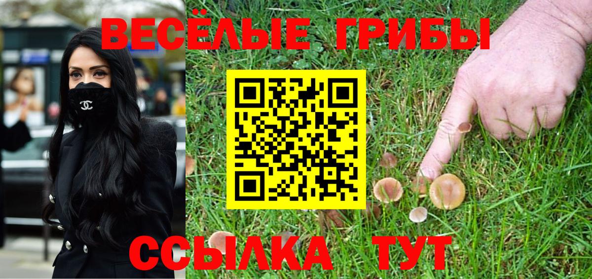 Галлюциногенные грибы прущие грибы Астрахань