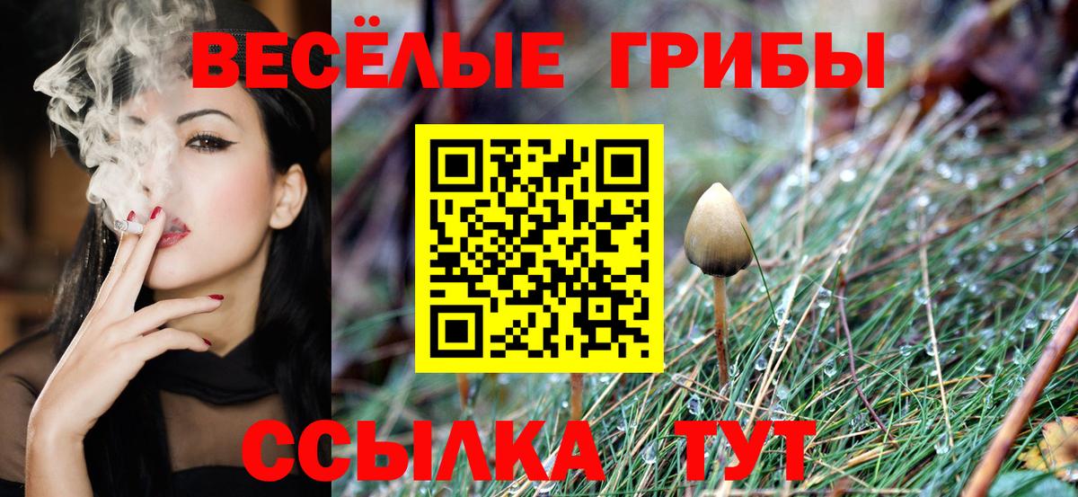 Астрахань  Псилоцибиновые грибы ЛСД  Вход с VPN  Галлюциногенные грибы прущие грибы 